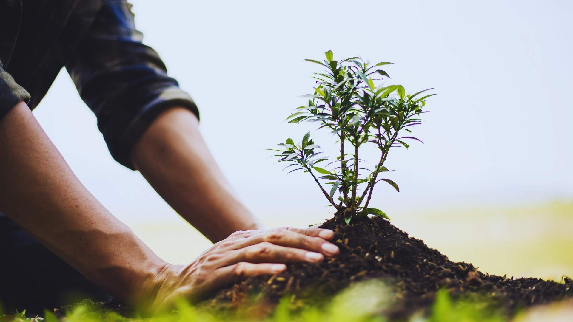 El poder del crecimiento personal - Serlog21 Consultora de Recursos Humanos